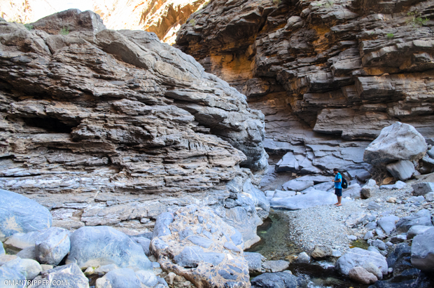 Wadi Bani Awuf (14)