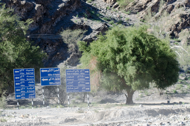 Wadi Bani Awuf (6)