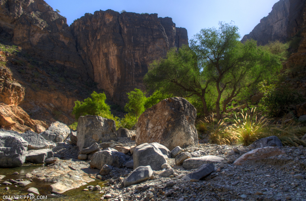 Wadi Bani Awuf (7)