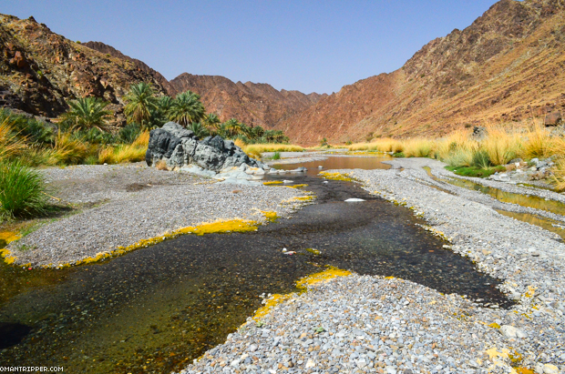 wadi-al-abyad-omantripper